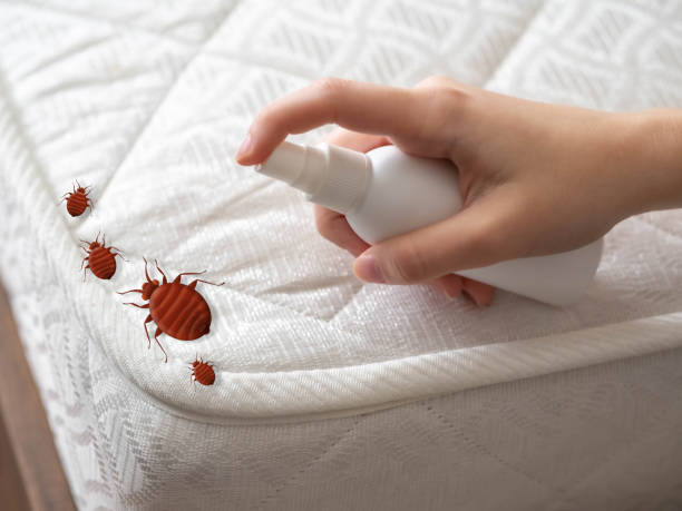 Best Pest Exclusion Services  in Burgettstown, PA